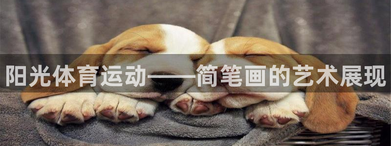 ug环球官网