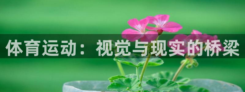 ug环球官网