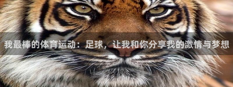 ug环球官网登录入口