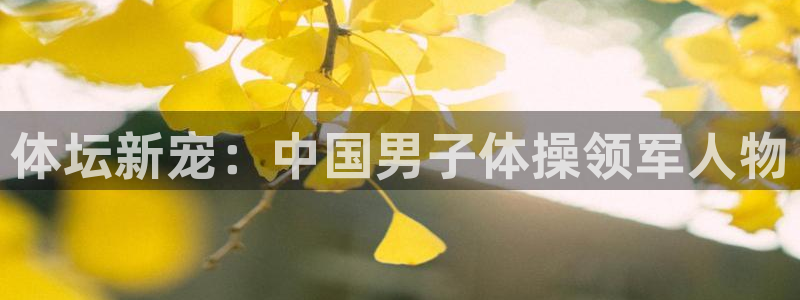 ug环球官网注册