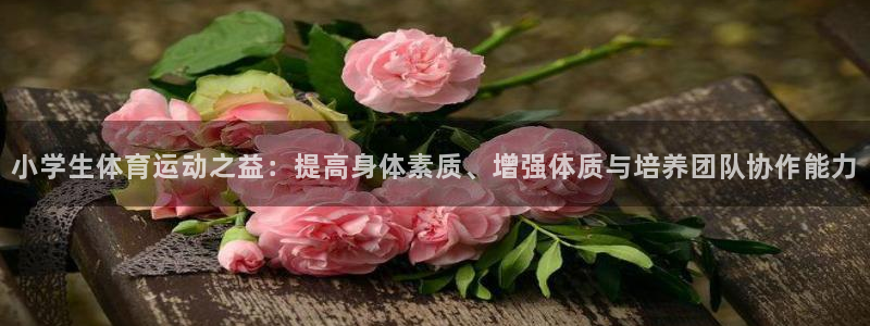 ug环球官网